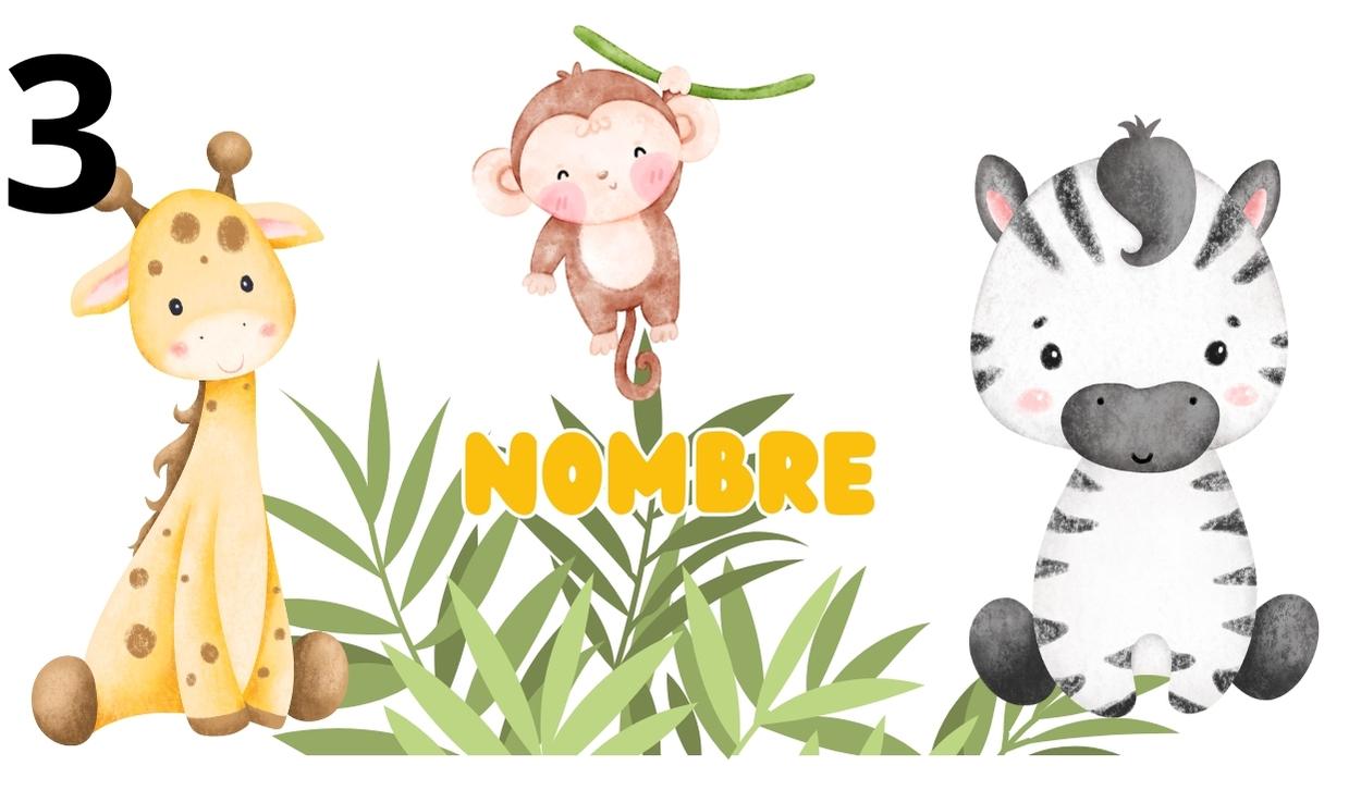 Diseños botellas peques